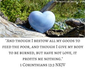 1 Corinthians 13-3