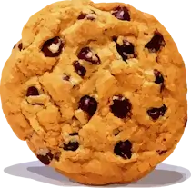 Huge Chocolate Chip Cookie